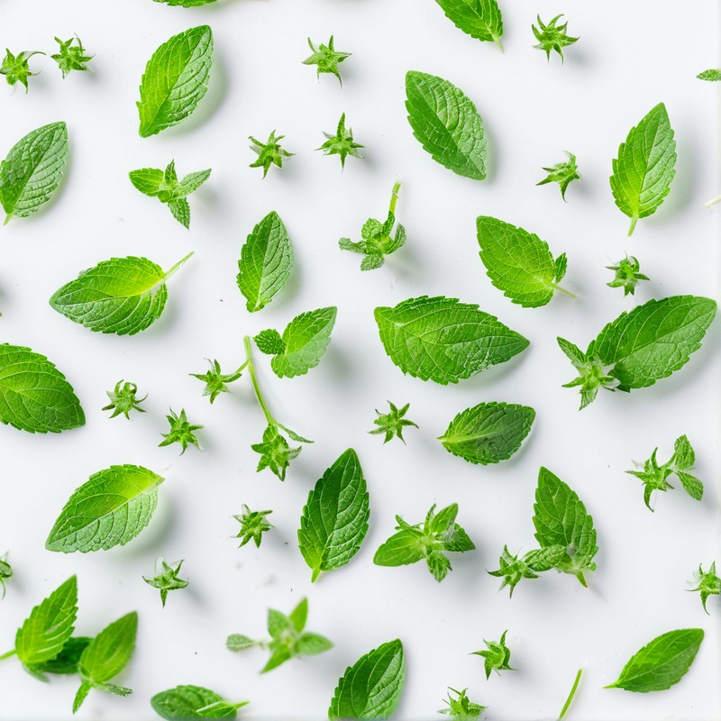 Peppermint